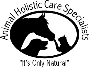 Dr. Julie will guide you with holistic tips for maintaining your animal's health NATURALLY! Follow us on Twitter and check out our website!