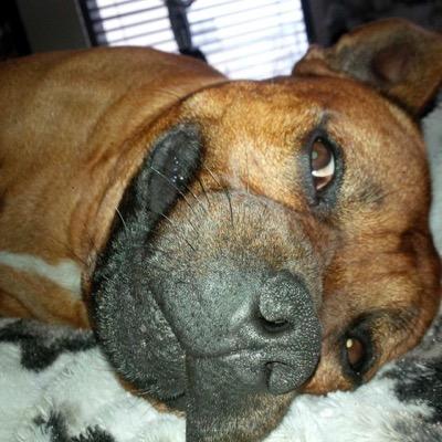 stormgoldstar's profile picture. 