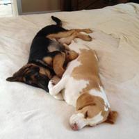 maggie_albrecht (@maggie_albrecht) 's Twitter Profile Photo