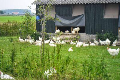 Westerkloeke's profile picture. Biologische boerderij met winkel en kookstudio