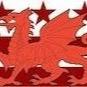 Washington DC Welsh (@walesdc) 's Twitter Profile