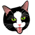 🌈 Bliss and 🐱 Kittens (@blissandkittens) Twitter profile photo 🌈 Bliss and 🐱 Kittens (@blissandkittens) Twitter profile photo