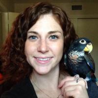 Dr. Lauren Thielen (@drtexotics) 's Twitter Profile