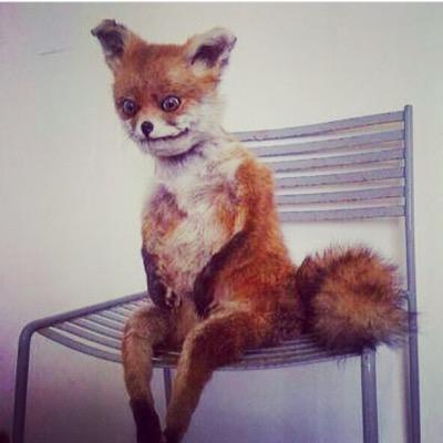 theshroomdealer's profile picture. 