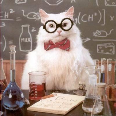 Living Environment & Chemistry Teacher at Port Richmond High School. Founder/Advisor to the Science Alliance. Get Test Ready with Ms. Moretti!