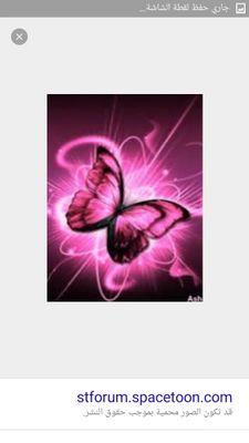 mimi1984_77's profile picture. ‏‏‏‏‏سادة الحياه هم الذين يجعلون من السعادة عاده في حب الله                                          ..جده ..