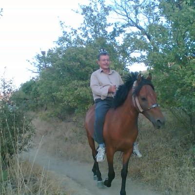 YelkenSebati's profile picture. 