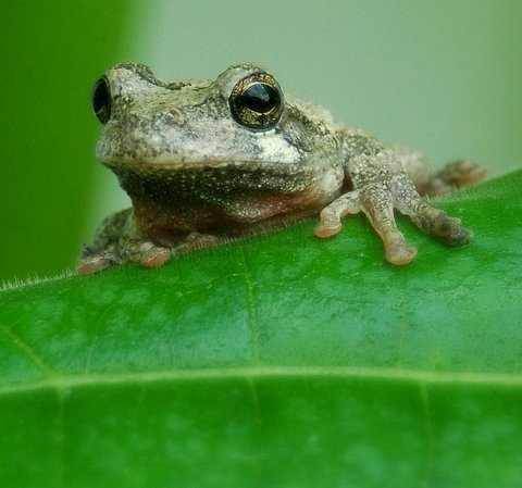 tickup's profile picture. Part time currency trader. I employ channels, TPO/Volume Profile and candlestick formations in my analysis. Focused mainly on the larger swings.