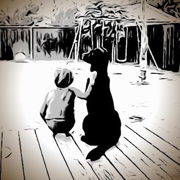 SheepdogProject's profile picture. A Collective designed to promote, praise, and reward Sheepdogs.