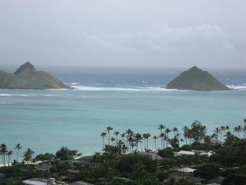 ekalama's profile picture. 