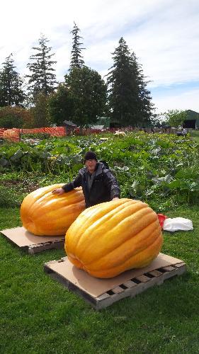 John_D_Farmer's profile picture. Competitive giant Vegetable Grower/Not Really a Farmer/ Born and raised in Kitchener/Fuck Cancer/Cancer Survivor