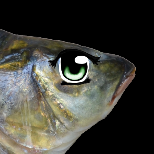 tashiepic's profile picture. Life is a thinhg