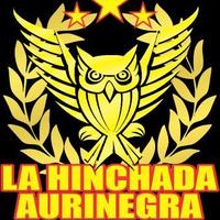 Hinchada Aurinegra (@haurinegra) 's Twitter Profile