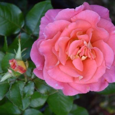 HConquestWI's profile picture. Houghton Conquest WI meet on the first Thursday of the month 7.30pm at the Village Hall. We have fun, learn about new topics and have a least 2 parties a year!