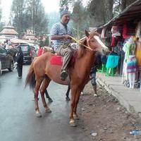 muhammad anas saragi (@anas_saragi) 's Twitter Profile
