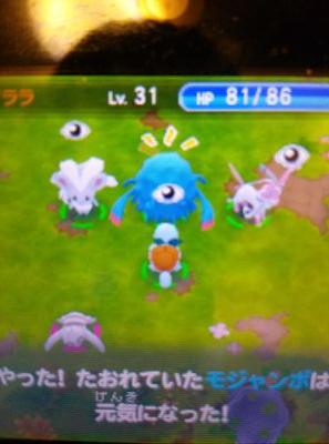 icicle_koakoa's profile picture. コーヒーとパンとうさぎに魂売りました