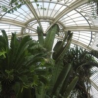 Kaori (@kaorihilton) 's Twitter Profile