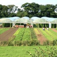 East Coast Organics (@ecoorganico) 's Twitter Profile