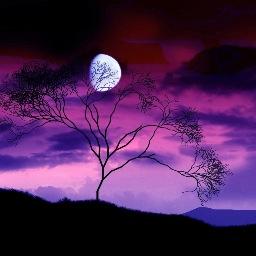 WatersCami's profile picture. 