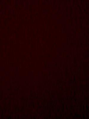 zCraft_Yt's profile picture. bunda