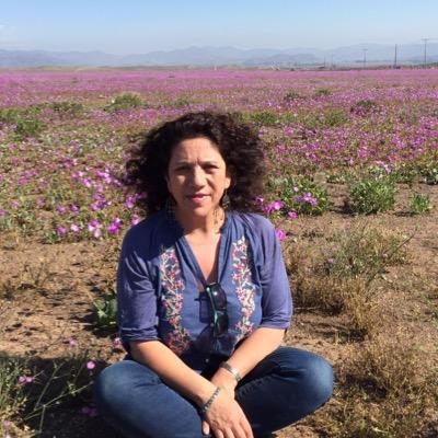 médico de APS, Feliz madre, esposa, hija, hermana....amiga de mis amigos, cada dia disfruto mas con lo cotidiano......contenta