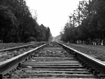 Escobar78Andres's profile picture. 