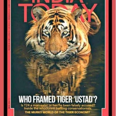 #FREET24 Free Ustad Tiger! Pls help save animals across the world from abuse, poaching, cruelty & massacres. They can't speak our languages & need our voices!