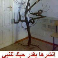 محمد القطش (@qwer772479263) 's Twitter Profile