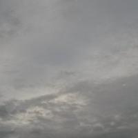 Kevin R (@kevinrigi) 's Twitter Profile