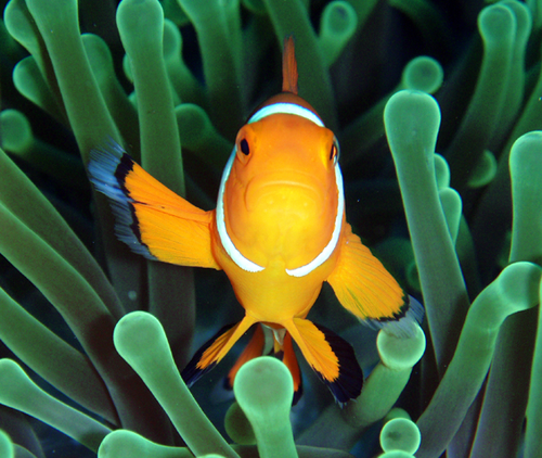 うずくまるひとかげ