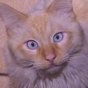 Beth Bock - @GibletGravy27 - Twitter