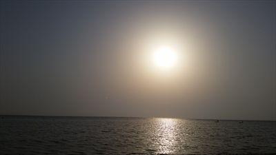 190962700's profile picture. ‏‏‏قد لا أتقن وصف الغياب كثيراً ...ولكن بدونك ياحبيبتي : يخبو ضياء الكون فأتعثَر