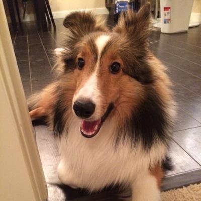 C_CRuby's profile picture. 