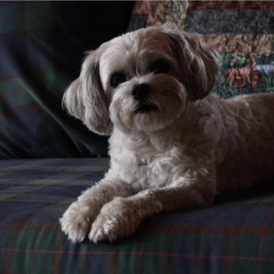 tracyachristie's profile picture. 