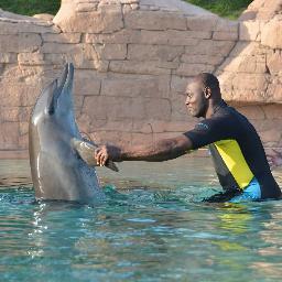 woleshadare's profile picture. 