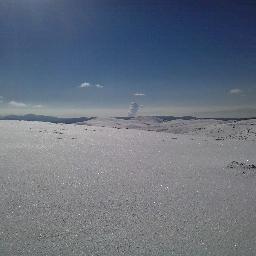 pery_greg's profile picture. 