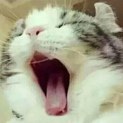 VBac6np1VeXVNAp's profile picture. 