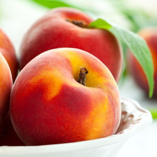 Snuggs1974's profile picture. Human being