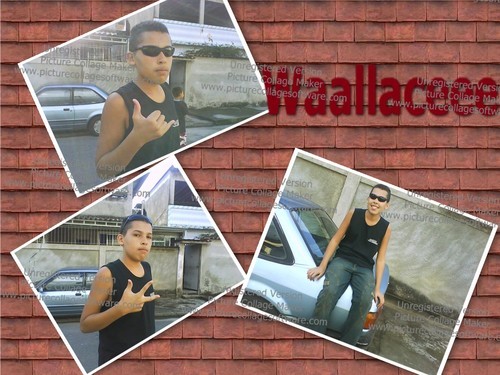 wallacee_silva's profile picture. 