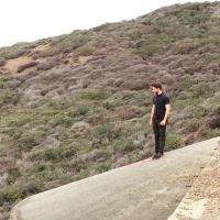 Sam Toizer (@toizer) 's Twitter Profile