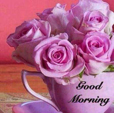 MoursiNema's profile picture. ‏‏