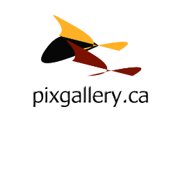 PixGallery_CA Profile Picture