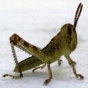 Benjamín Cristóbal - @BenCrish - Twitter