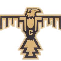 T-Bird Wrestling (@chsthunderbird) 's Twitter Profile