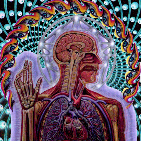 Prometheus25's profile picture. Parsifal... The Geek Knight