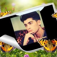 D#hh (@zziaalyyih) 's Twitter Profile