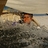 aaron_wong_sing's profile image