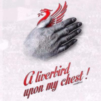 Love LFC, live for matchdays, LFC are not just a team they are a way of life #YNWA