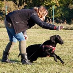 Hundenshus_se's profile picture. Hundens Hus är ett kunskapscentrum för människor med hundar. Yrkesutbildningar och hundkurser på flera orter.
Dogtrainers in Sweden.
https://t.co/WdAvB0h6f0