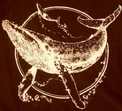 Paulspaula1's profile picture. #tweet4taiji #blackfish #GrindStop